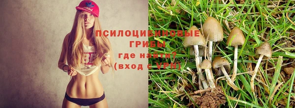 метадон Арсеньев