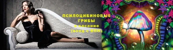 скорость Аркадак